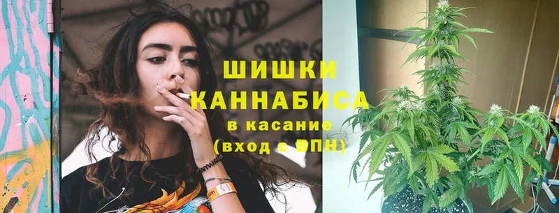 Бошки марихуана OG Kush  мега ССЫЛКА  Ангарск 